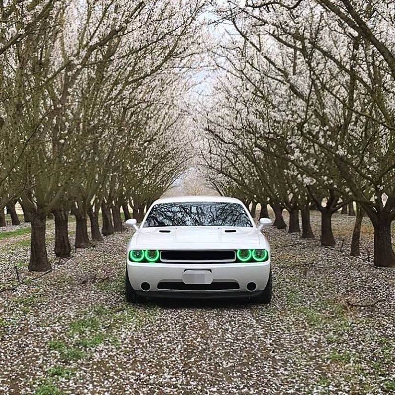 Oracle 08-14 Dodge Challenger LED Projector Headlight Halo Kit - Green-thumbmail-2