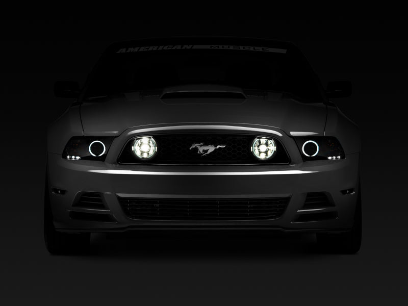 Raxiom 13-14 Ford Mustang GT CCFL Halo Fog Lights (Smoked)-thumbmail-2