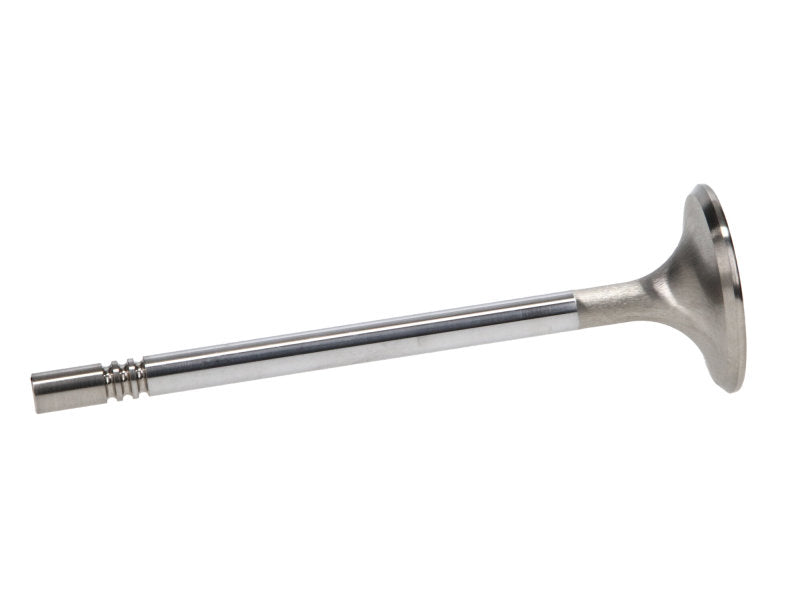 Manley Ford Racing Cylinder Head 4.6L & 5.4L SOHC 36.0mm Race Master Exhaust Valve (Single)-thumbmail-3