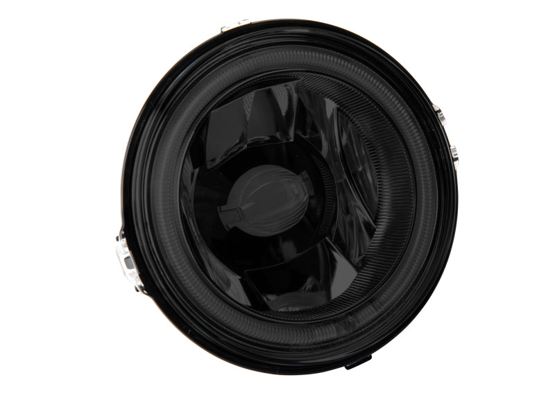 Raxiom 13-14 Ford Mustang GT CCFL Halo Fog Lights (Smoked)-thumbmail-4