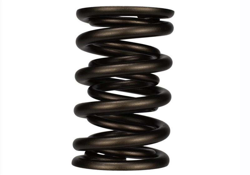 Ford Racing Replacement Valve Springs (TVS-1734) - Set Of 8-thumbmail-4