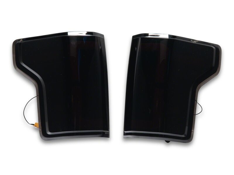 Raxiom15-20 Ford F-150 LDS Series LED Tail Lights- Black Housing- Clear Lens-thumbmail-2
