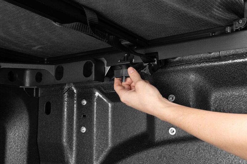 Photo - Close Up
