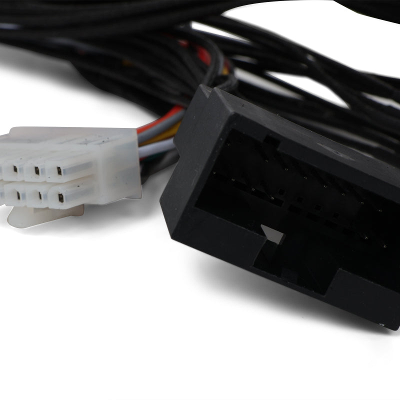 BLOX Racing Honda OBD0 - OBD1 ECU Jumper Harness-thumbmail-2