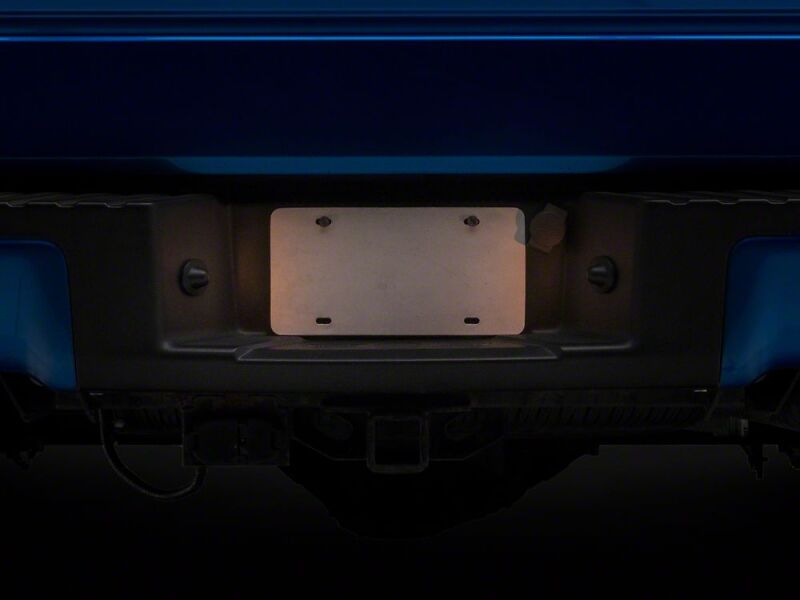 Raxiom 97-14 Ford F-150 Axial Series License Plate Lamp Housings-thumbmail-4