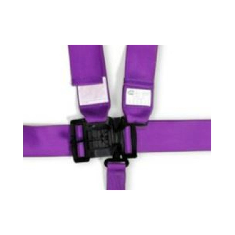 RaceQuip Purple L & L 5pt Seat Belt-thumbmail-2