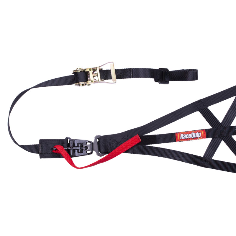 RaceQuip Black SFI 37.1 Side Roll Cage Net-thumbmail-2