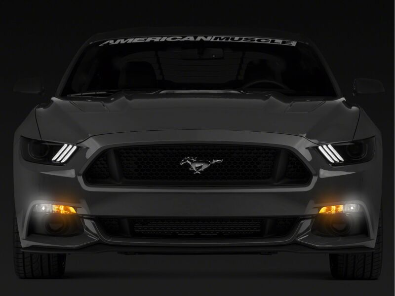 Raxiom 15-17 Ford Mustang Axial Series Switchback Turn Signal Conversion Kit-thumbmail-2
