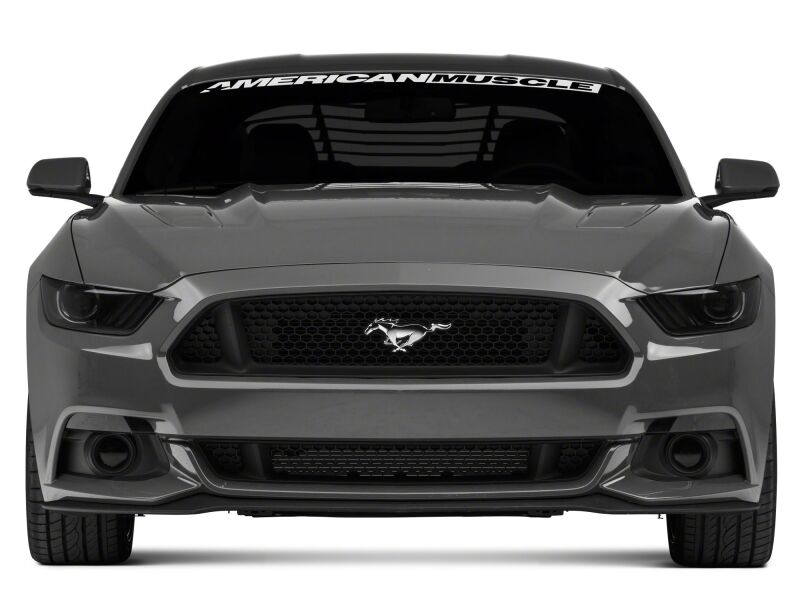 Raxiom 15-17 Ford Mustang Axial Series Switchback Turn Signal Conversion Kit-thumbmail-3