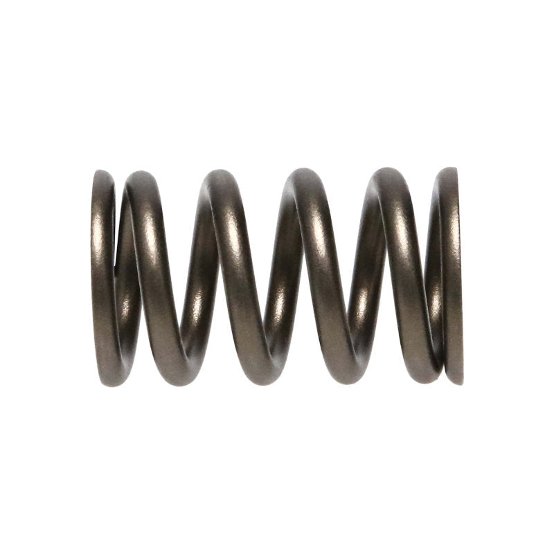 Manley 90-06 Mitsubishi (4G63-4G63T) 16pc Valve Springs (1.100/.775)-thumbmail-2