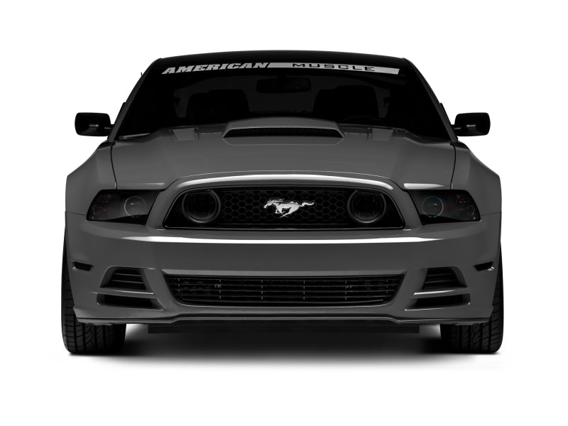 Raxiom 13-14 Ford Mustang GT CCFL Halo Fog Lights (Smoked)-thumbmail-5