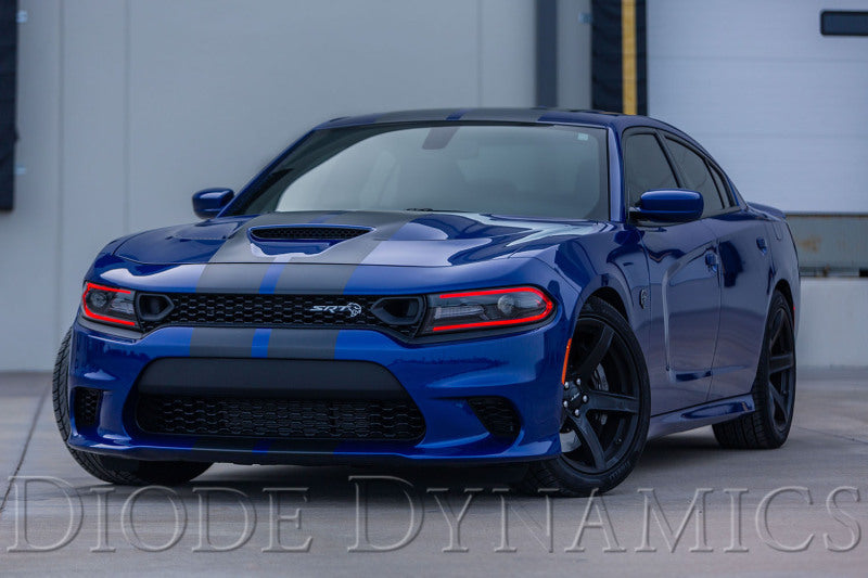 Diode Dynamics RGBW DRL LED Boards for 2019-2021 Dodge Charger-thumbmail-2