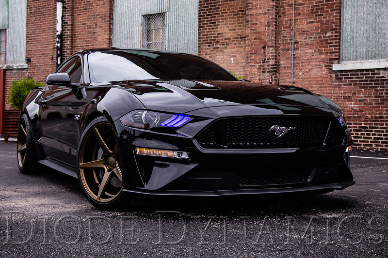 Diode Dynamics 18-23 Ford Mustang RGBW DRL LED Boards-thumbmail-5