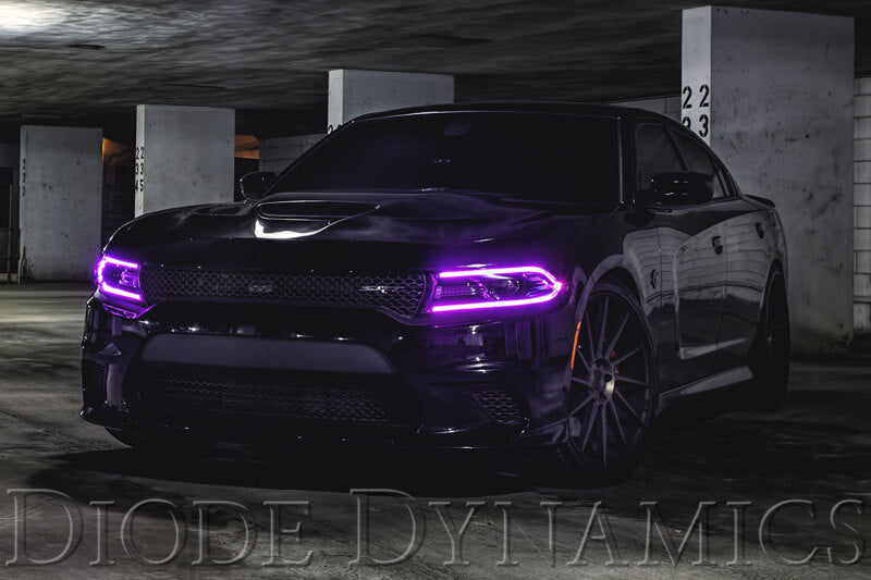 Diode Dynamics 2015-2018 Dodge Charger RGBW DRL LED Boards-thumbmail-3