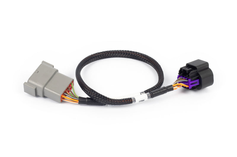 Haltech NEXUS Rebel LS 8-Pin DBW Adaptor (Plug-n-Play w/HT-186500)-thumbmail-2