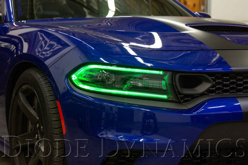 Diode Dynamics RGBW DRL LED Boards for 2019-2021 Dodge Charger-thumbmail-3