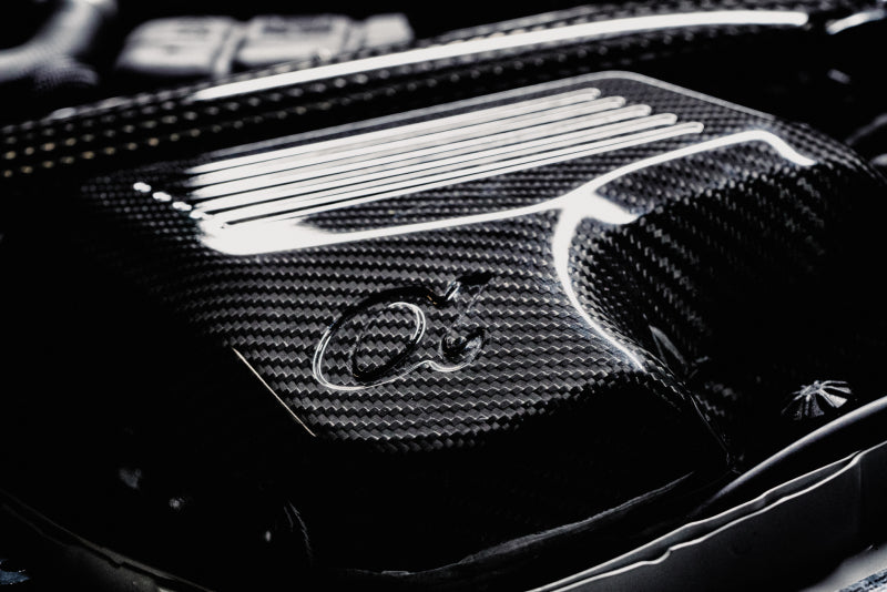 AMS Performance 15-18 BMW M3 / 15-20 BMW M4 w/ S55 3.0L Turbo Engine Carbon Fiber Intake-thumbmail-17