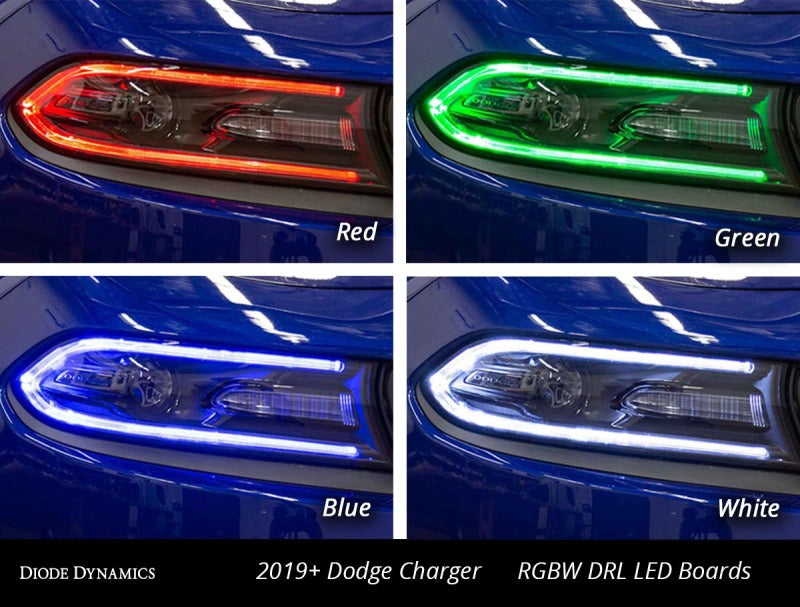 Diode Dynamics RGBW DRL LED Boards for 2019-2021 Dodge Charger-thumbmail-4