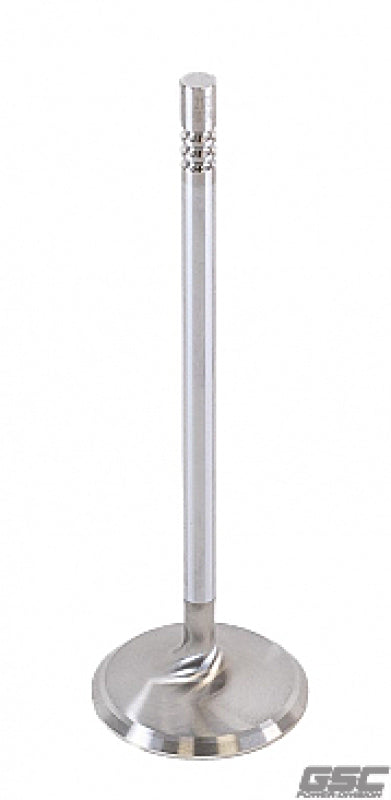GSC P-D Ford Voodoo/Predator 38.26mm Head (STD) 121.13mm Long Chrome Polished Intake Valve - Single-thumbmail-1
