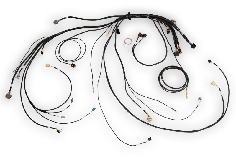 Haltech NEXUS Rebel LS Terminated Harness for ECU-thumbmail-2