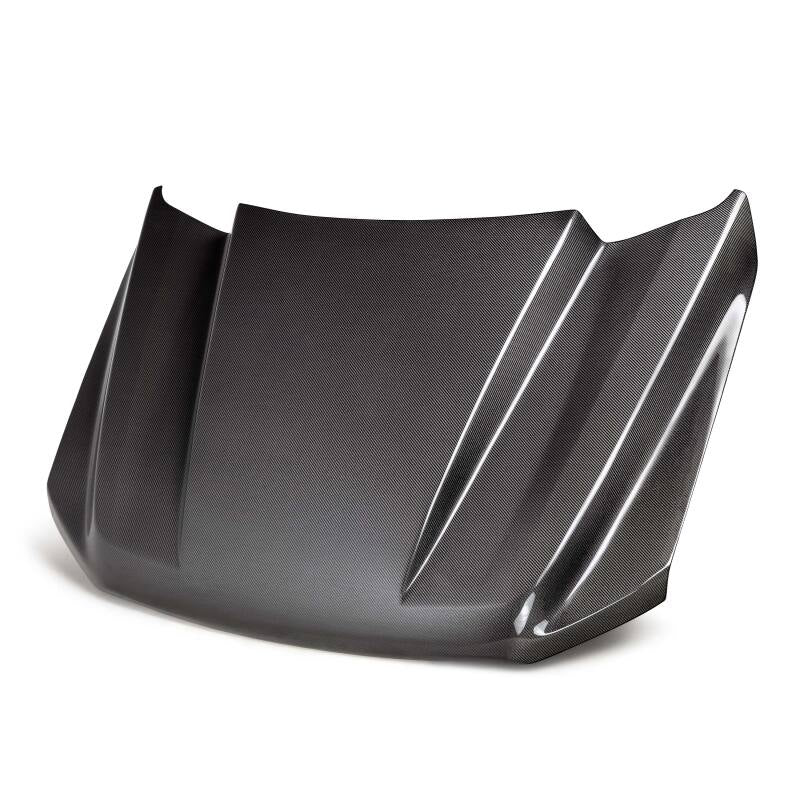Anderson Composites 21-24 Ford F-150 Type-CJ Carbon Fiber Hood-thumbmail-5