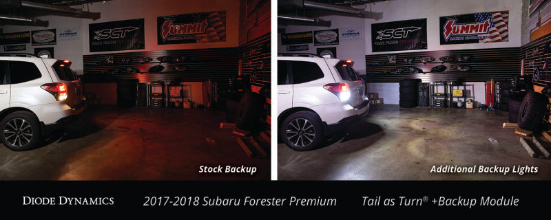 Diode Dynamics 17-18 Subaru Forester Premium (USDM) Tail as Turn +Backup Module Module Only-thumbmail-6