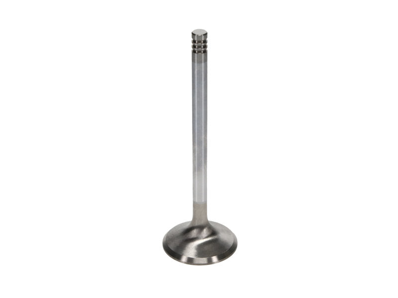 Manley Chrysler Hemi 6.1L w/ Triple Groove 1.625in Race Master Exhaust Valves (Set of 8)-thumbmail-5