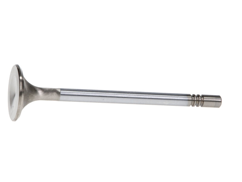 Manley 99-12 Ford 4.6L/281 5.4L/330 V8 37mm Race Series Stainless Steel Intake Valve - Single-thumbmail-5