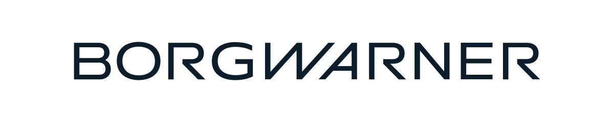 BorgWarner logo — exact product photo unavailable