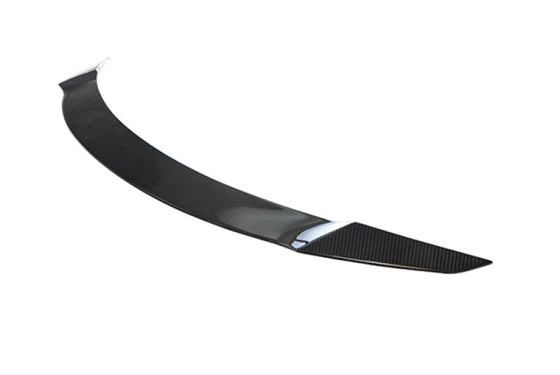 MXP 2017+ Tesla Model 3 T3-1 Wet Carbon Rear Spoiler-thumbmail-2