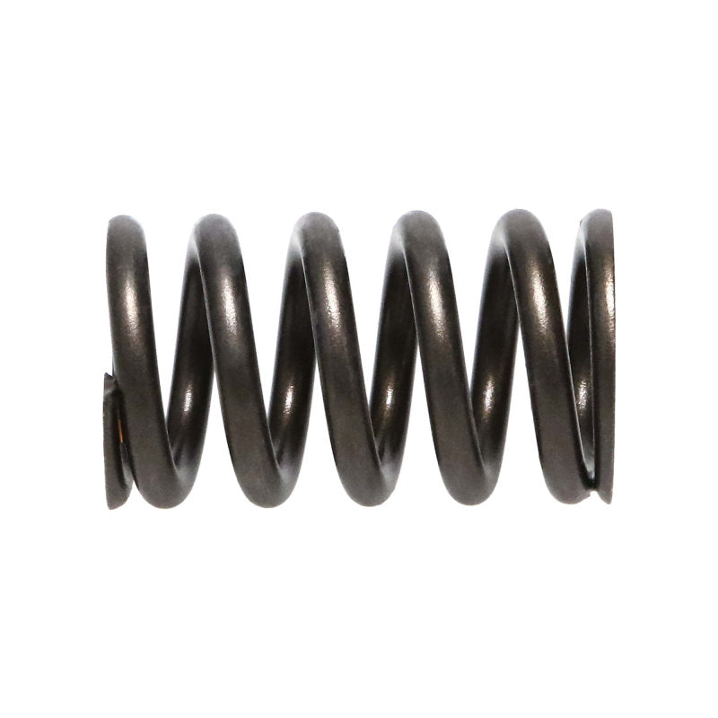 Manley Honda (K20A3 K24A) 16pc Valve Springs-thumbmail-4