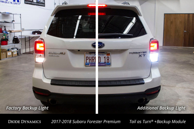 Diode Dynamics 17-18 Subaru Forester Premium (USDM) Tail as Turn +Backup Module Module Only-thumbmail-9