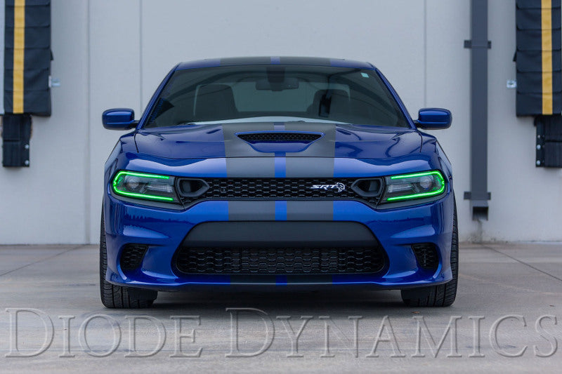 Diode Dynamics RGBW DRL LED Boards for 2019-2021 Dodge Charger-thumbmail-6