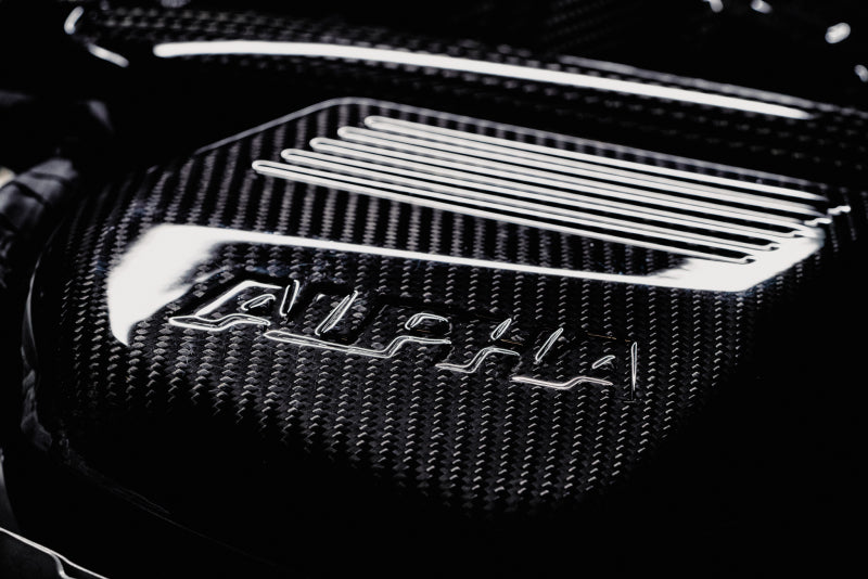 AMS Performance 15-18 BMW M3 / 15-20 BMW M4 w/ S55 3.0L Turbo Engine Carbon Fiber Intake-thumbmail-23