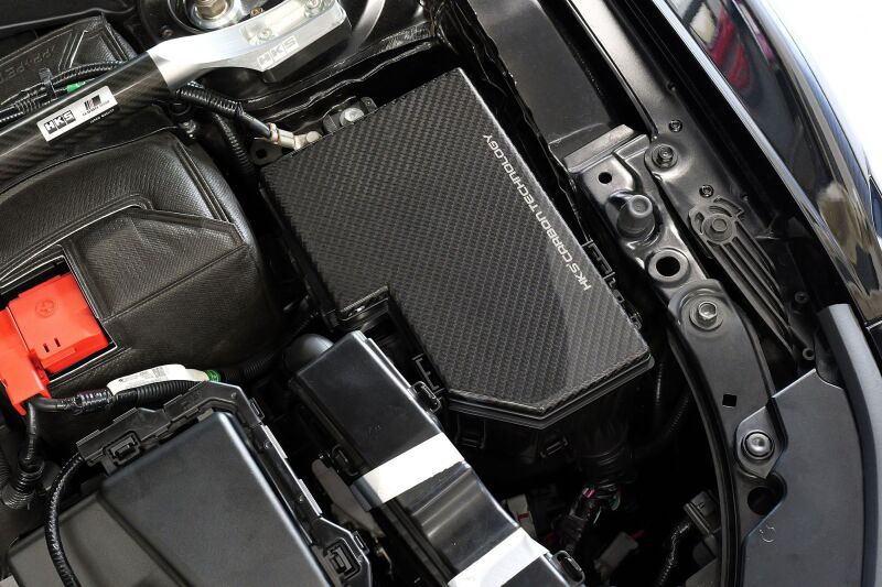 HKS DRY CARBON FUSE BOX COVER FL5-thumbmail-3