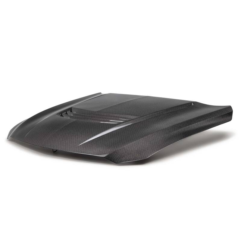 Anderson Composites 20-23 Cadillac CT5-V Blackwing Carbon Fiber Hood - Type SV-thumbmail-7