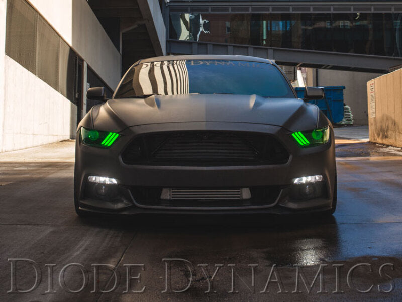 Diode Dynamics 15-17 Ford Mustang RGBW DRL LED Boards-thumbmail-7