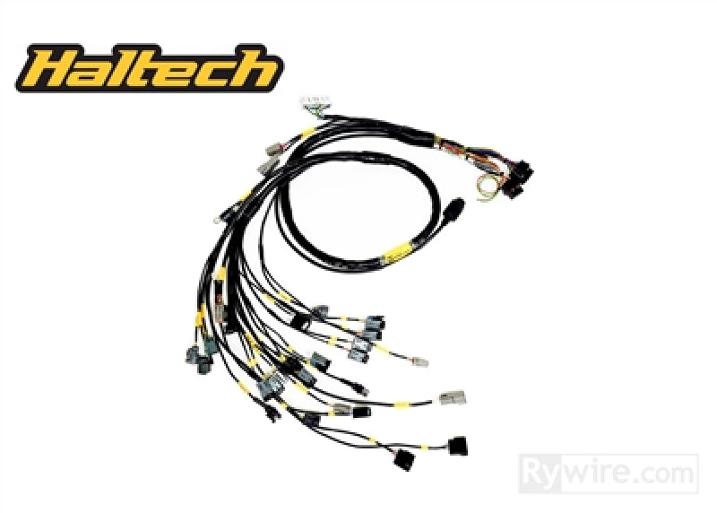 Rywire K-Series Naturally Aspirated w/Haltech ELITE 1500+ Engine Harness (w/4 Inj / No EMAP/Boost)-thumbmail-1