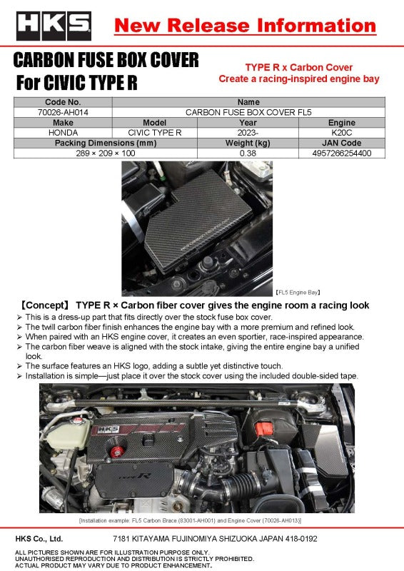 HKS DRY CARBON FUSE BOX COVER FL5-thumbmail-5