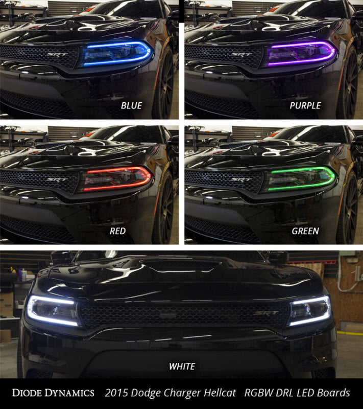 Diode Dynamics 2015-2018 Dodge Charger RGBW DRL LED Boards-thumbmail-7