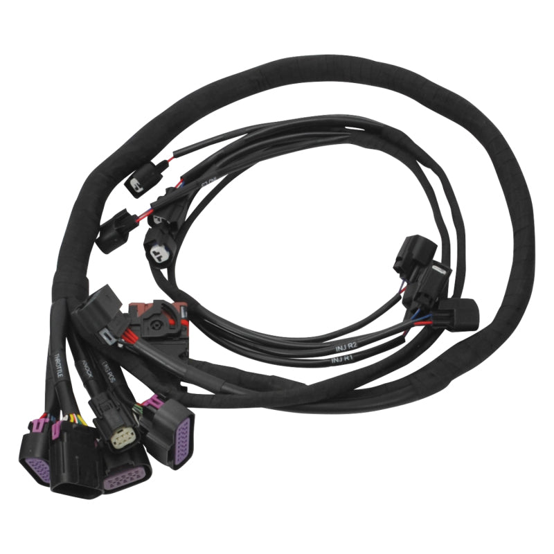 Edelbrock Chevy Gen III/IV LS Pro-Flo 4+ EFI Engine Management System-thumbmail-10