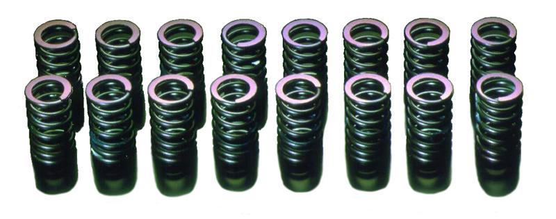 HKS 91-00 Infiniti G20 SR20DET Outer Valve Spring Set-thumbmail-2