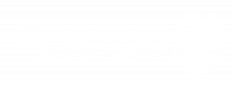 Sinister Diesel logo — exact product photo unavailable