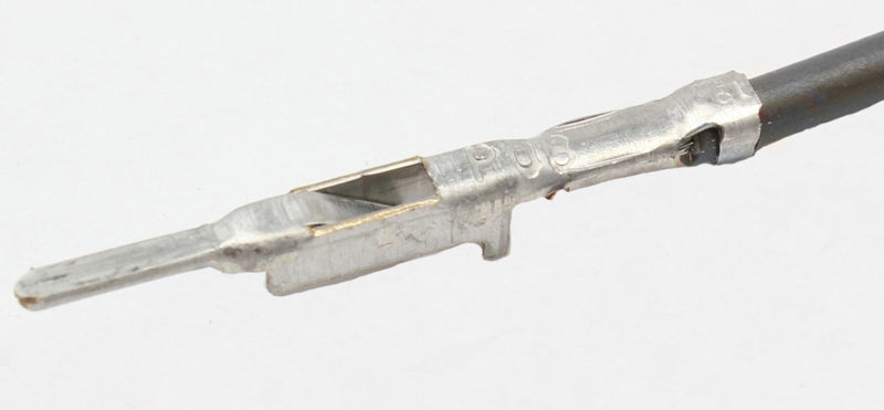 Walbro WIRING HARNESS-thumbmail-2