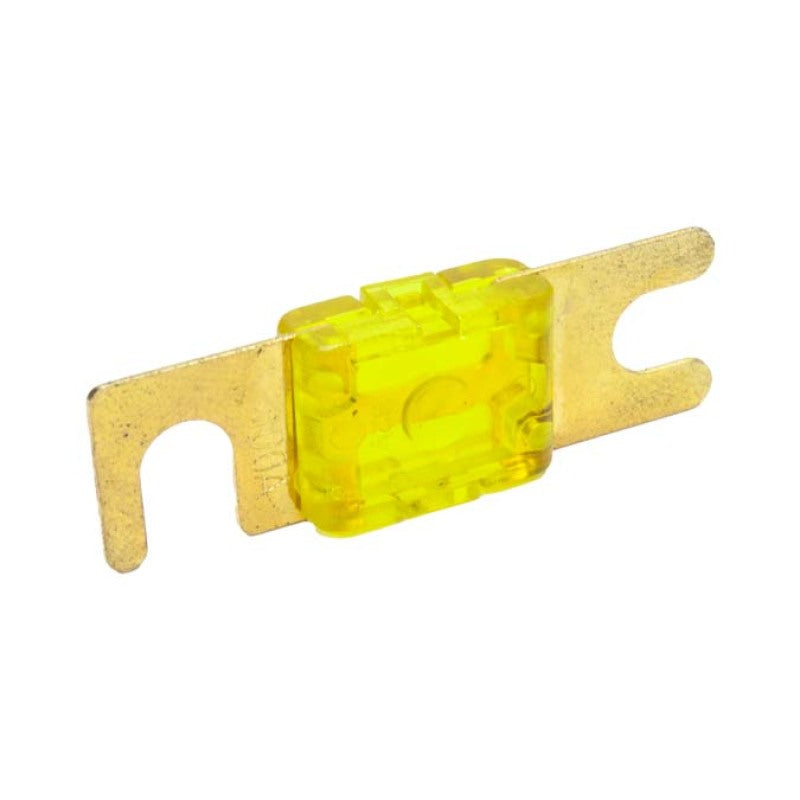 Snow 100 Amp Fuse-thumbmail-1