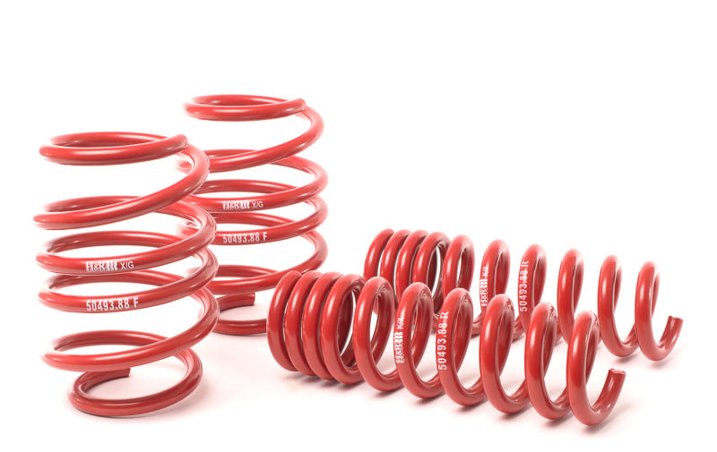 H&R 08-13 BMW M3 Coupe/M3 Sedan E92 Race Spring-thumbmail-2