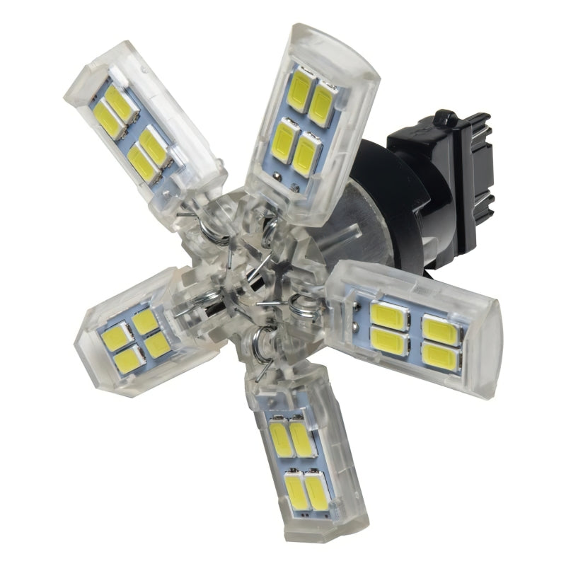 Oracle 3157 15 SMD 3 Chip Spider Bulb (Single) - Cool White-thumbmail-4