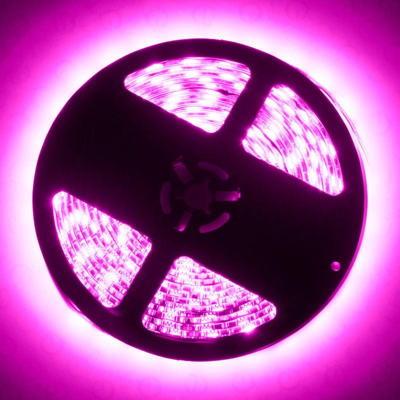 Oracle Exterior Flex LED Spool - Pink-thumbmail-4