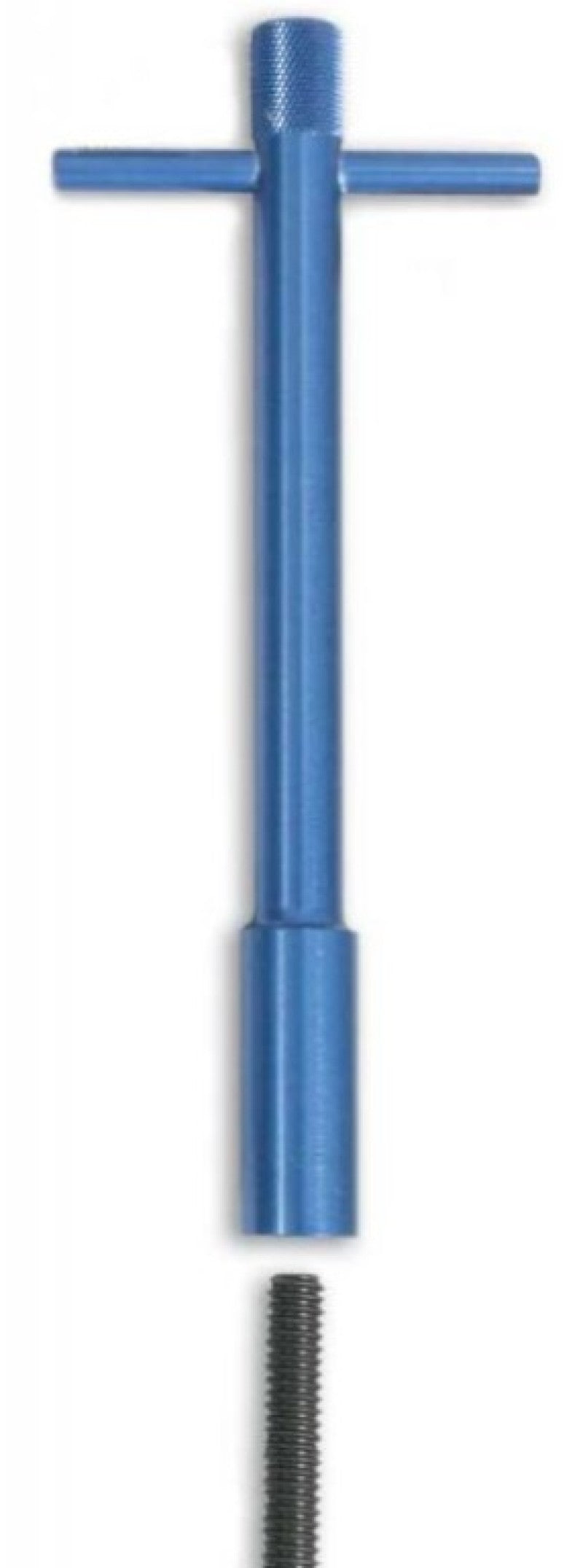 Moroso Valve Cover Wing Nuts - 1/4in-20 x 1-3/8in - Aluminum - Blue Powder Coat - 4 Pack-thumbmail-1