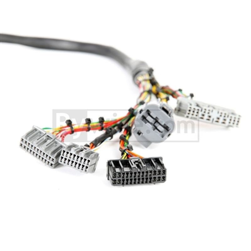 Rywire Honda B/D-Series Mil-Spec Eng Harness w/OBD1 Dist/Inj/Alternator & 92-95 Plugs (Adapter Req)-thumbmail-1